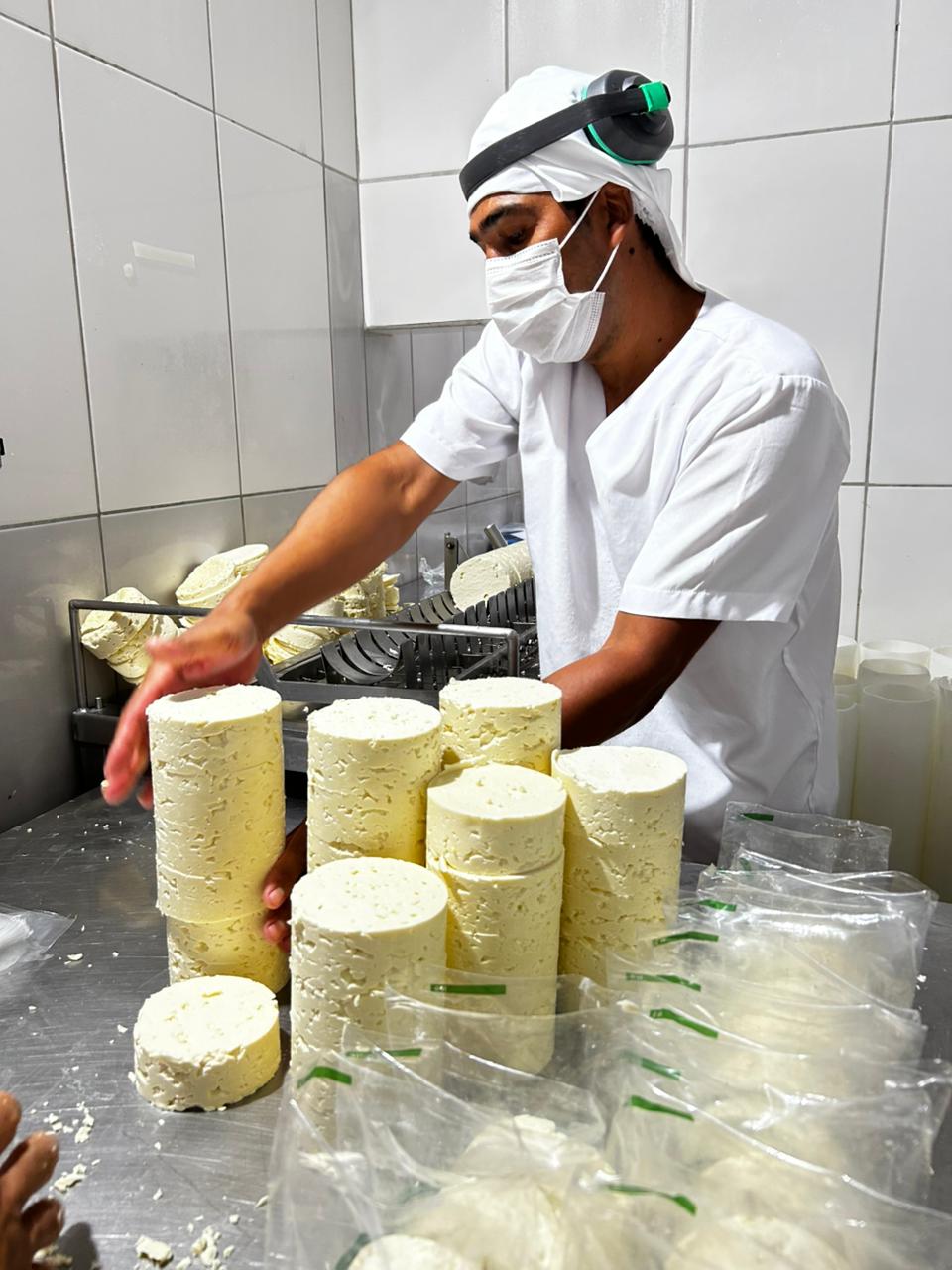 Dia Mundial do Queijo marca avanços da produção baiana e fortalecimento da cadeia do leite