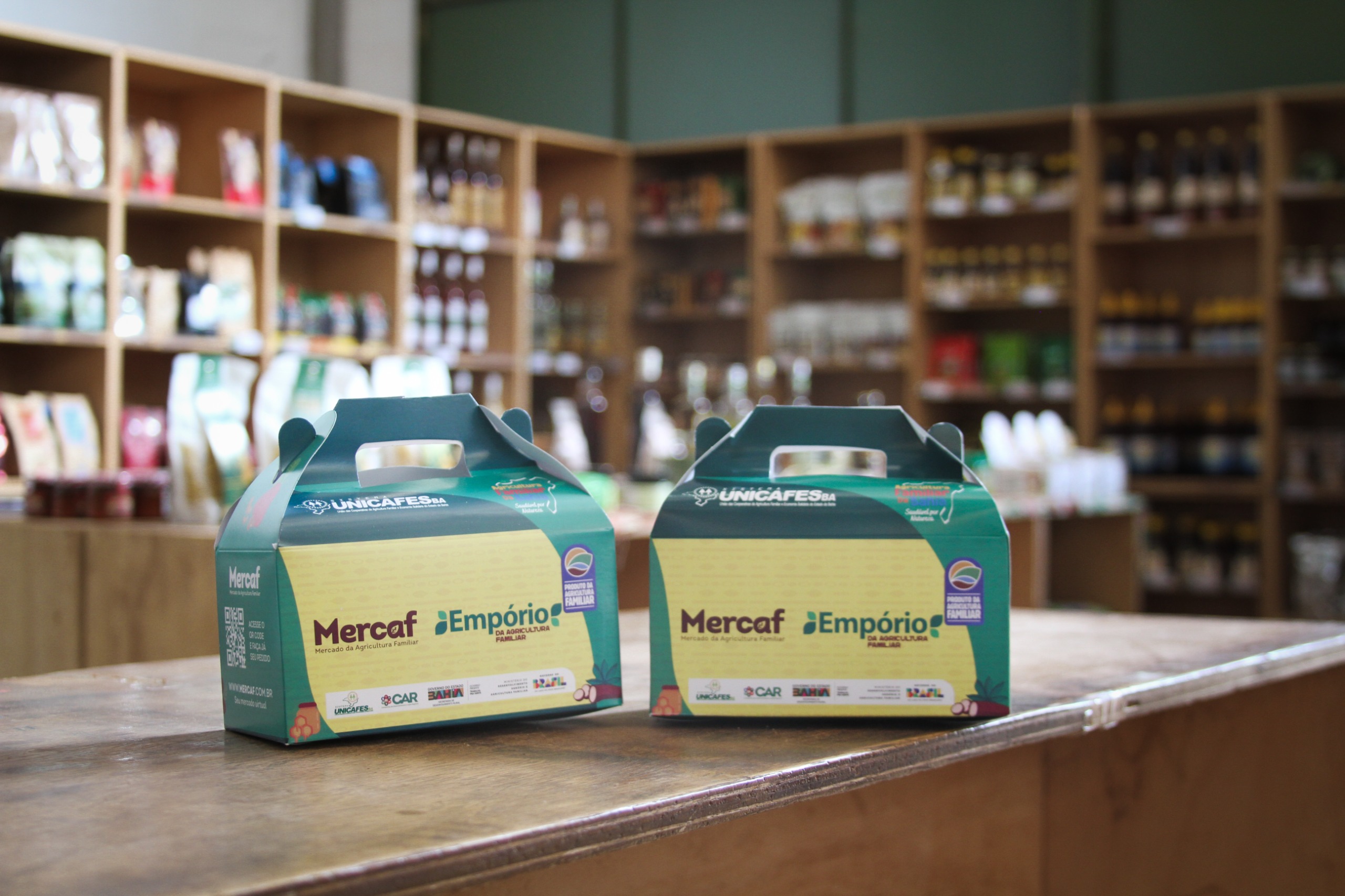 Ação do Governo da Bahia leva alimentos da agricultura familiar a trabalhadores da reciclagem no Carnaval 2026