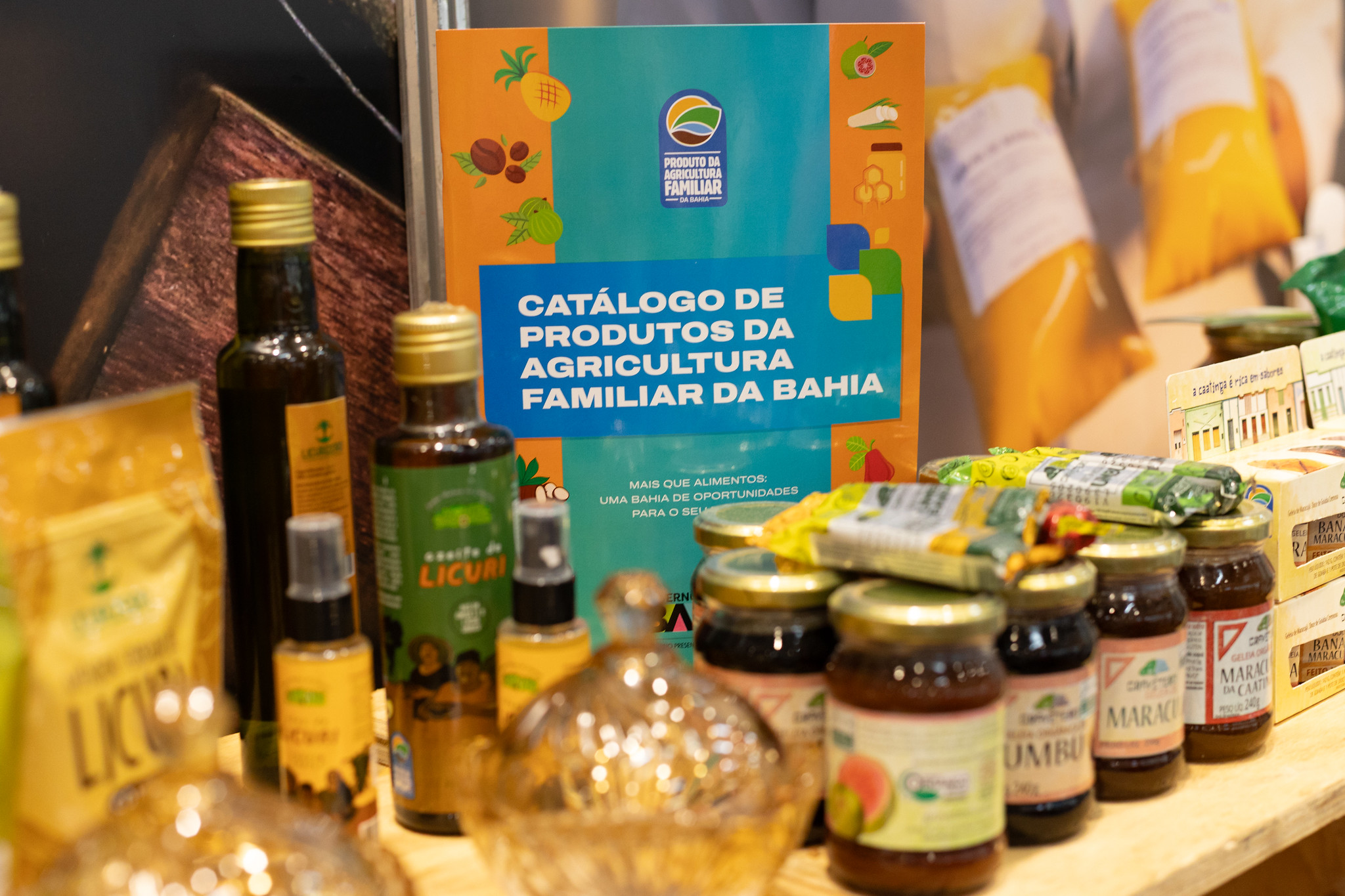 Jornada Institucional da CAR debate estratégias  para fortalecer a agricultura familiar na Bahia