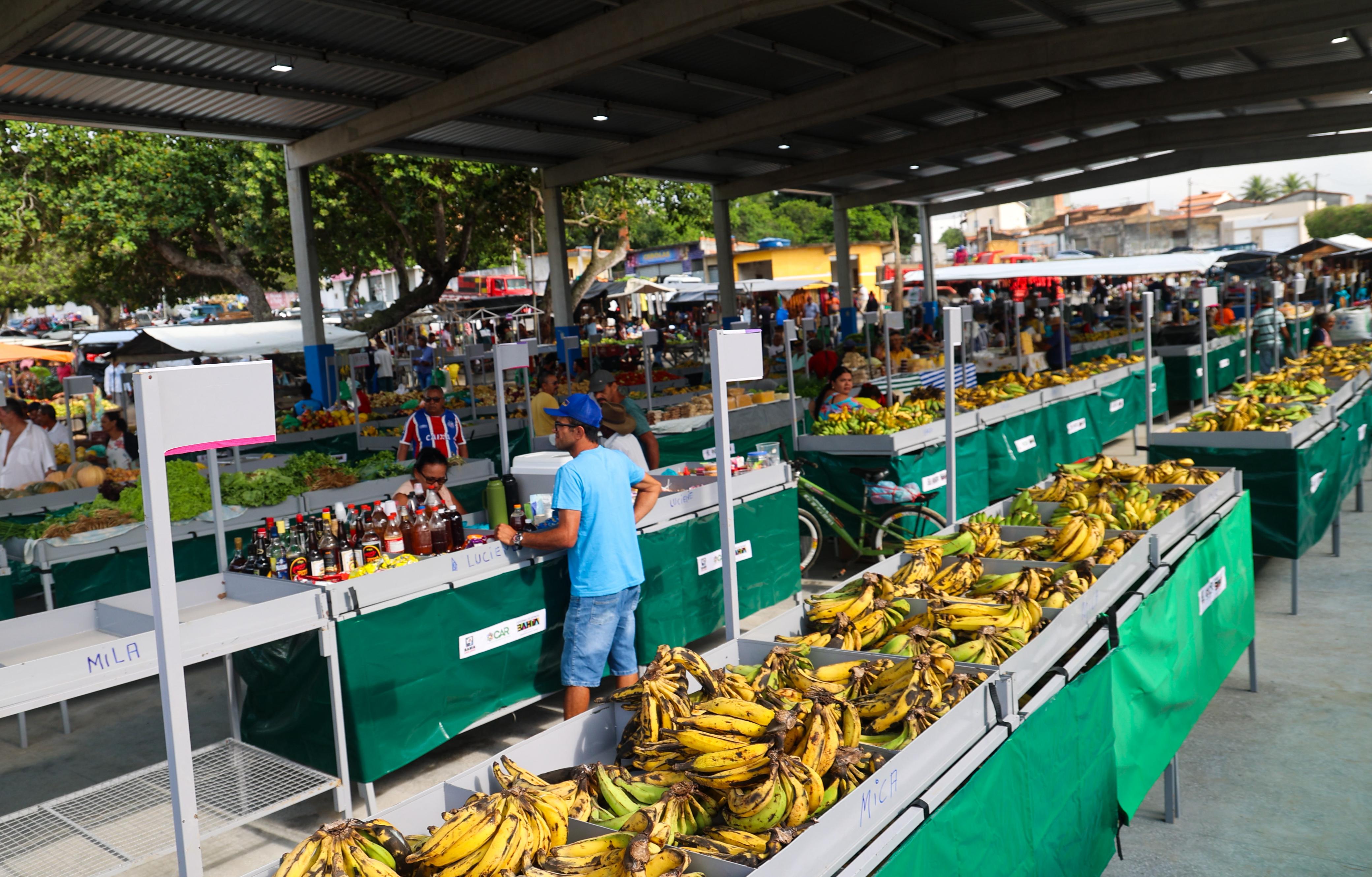 Investimentos do Estado fortalecem infraestrutura econômica em Buritirama, Chorrochó e Mutuípe