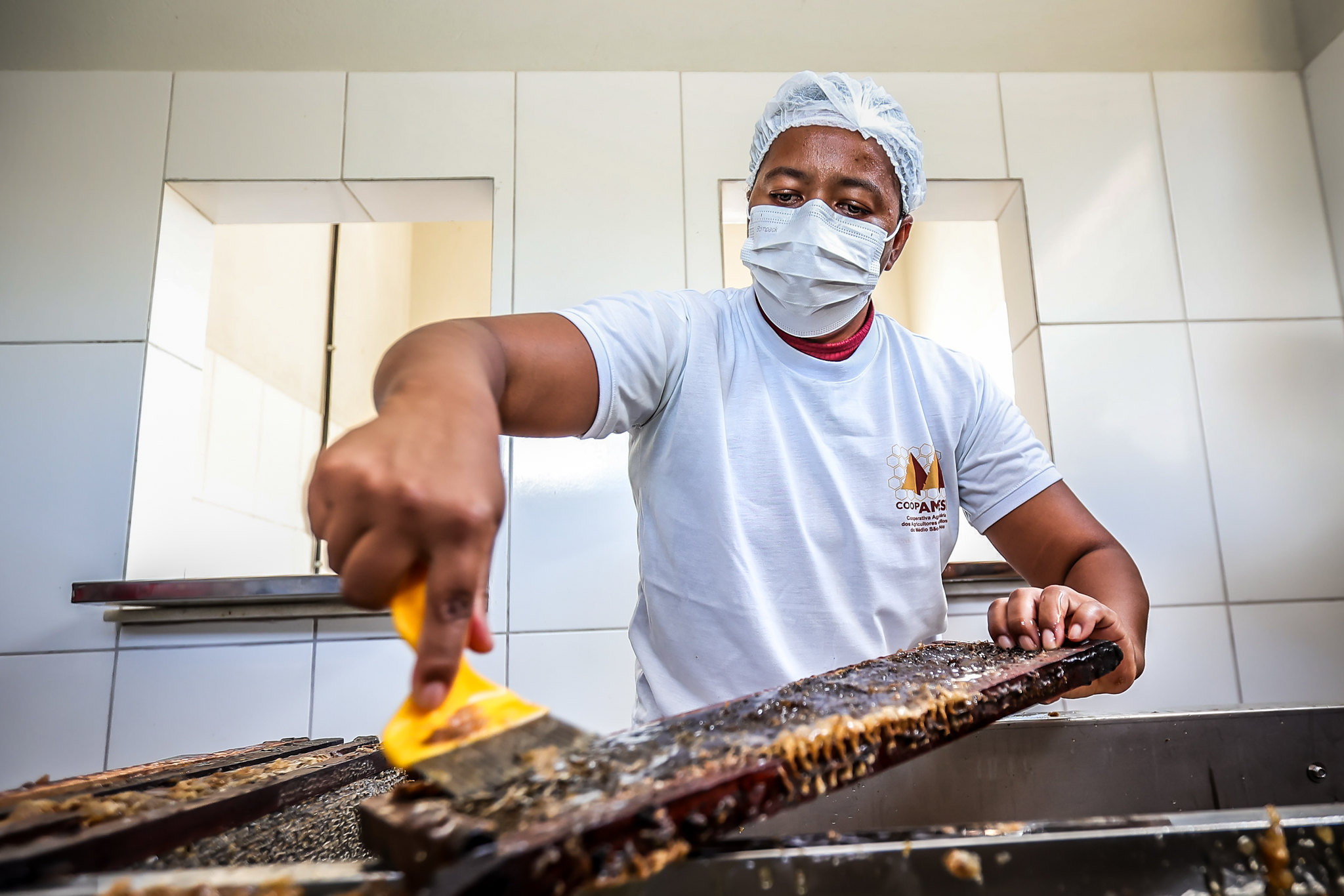 Morpará ganha unidade de mel e classificadora de ovos para fortalecer agricultura familiar