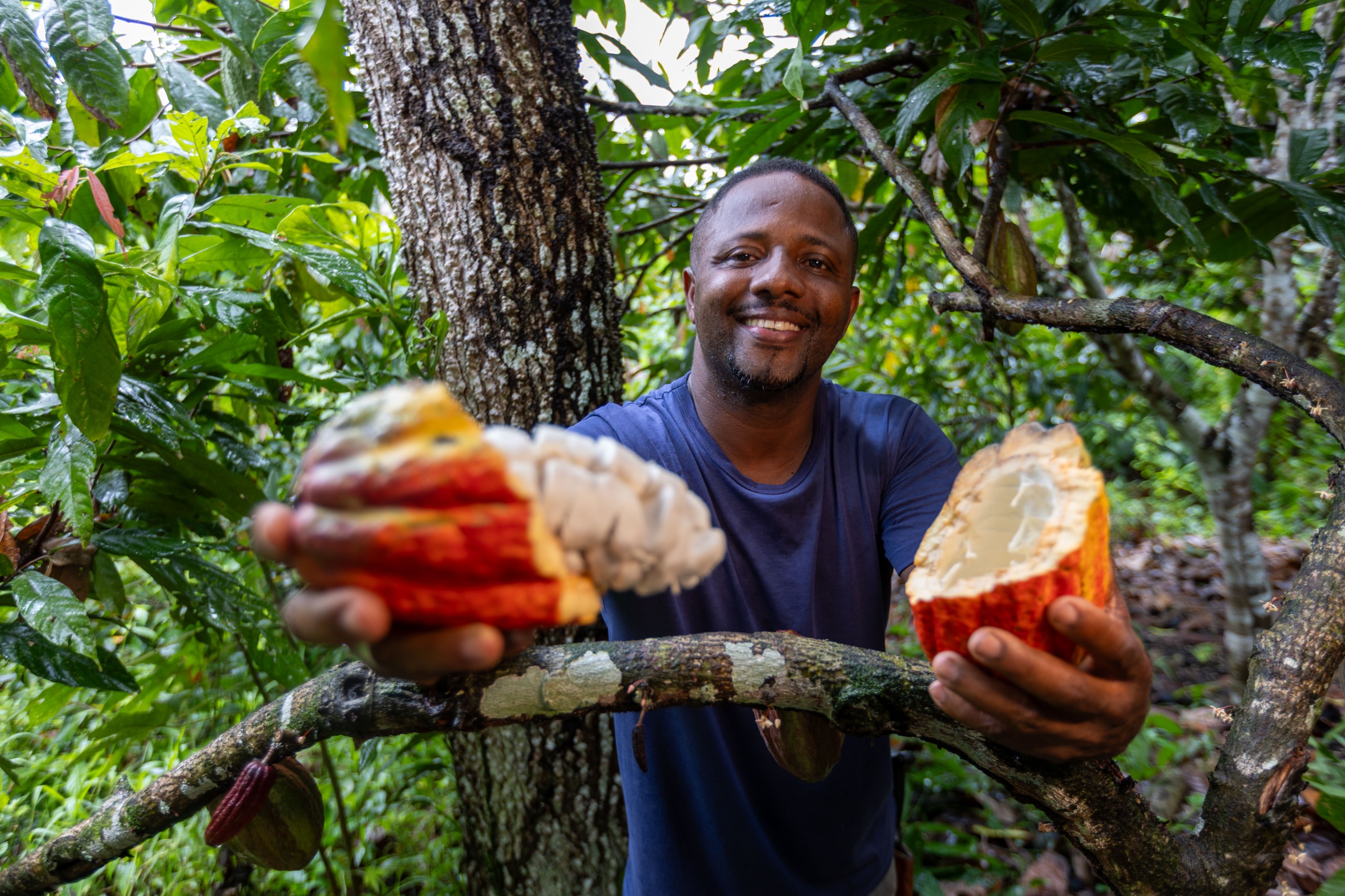 Natucoa Chocolates fortalece agricultura familiar