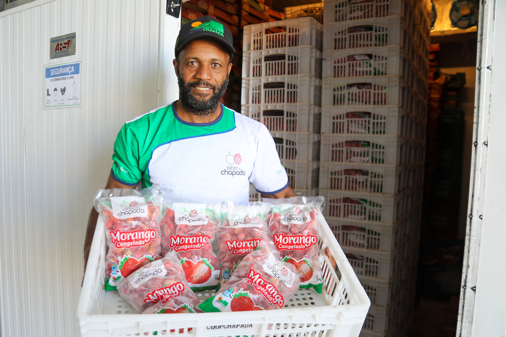 Unidade de beneficiamento de frutas vermelhas