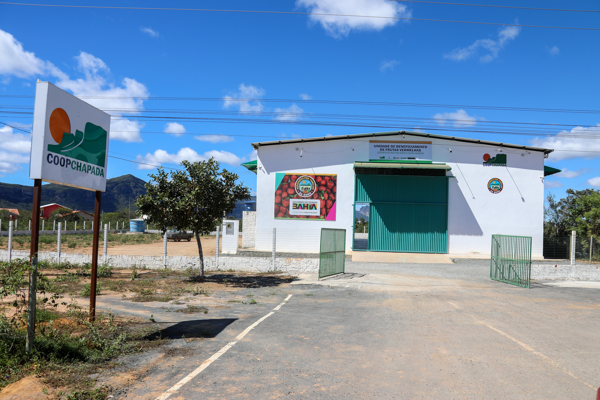 Unidade de beneficiamento de frutas vermelhas
