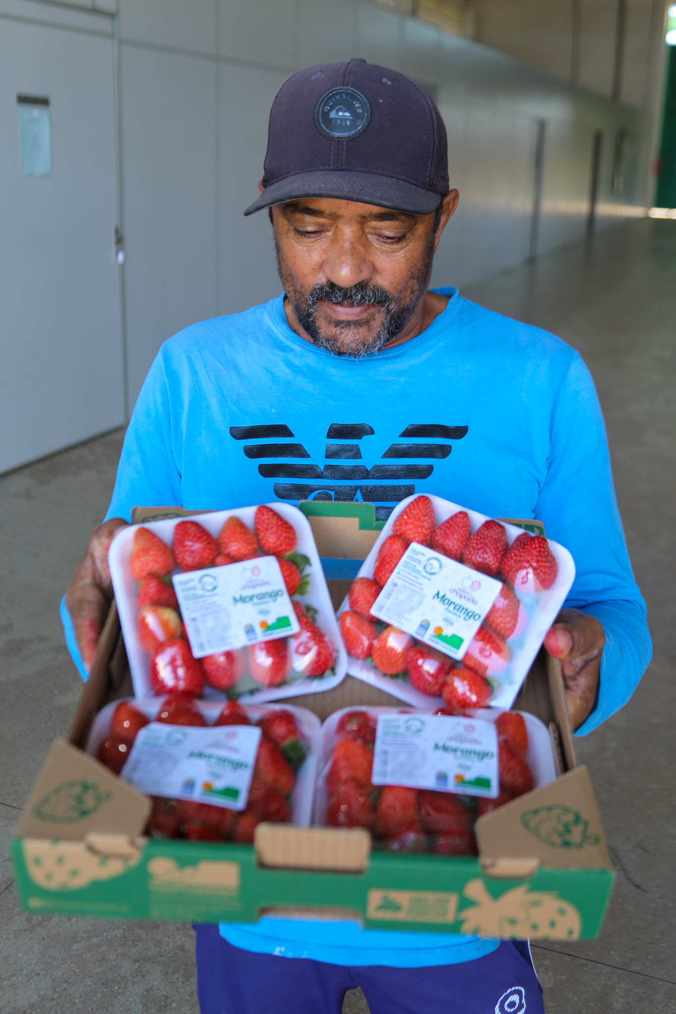 Unidade de beneficiamento de frutas vermelhas