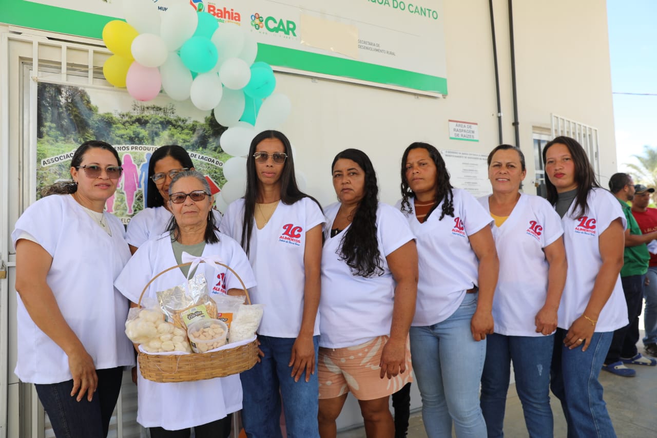 Beneficiamento da mandioca em Belo Campo