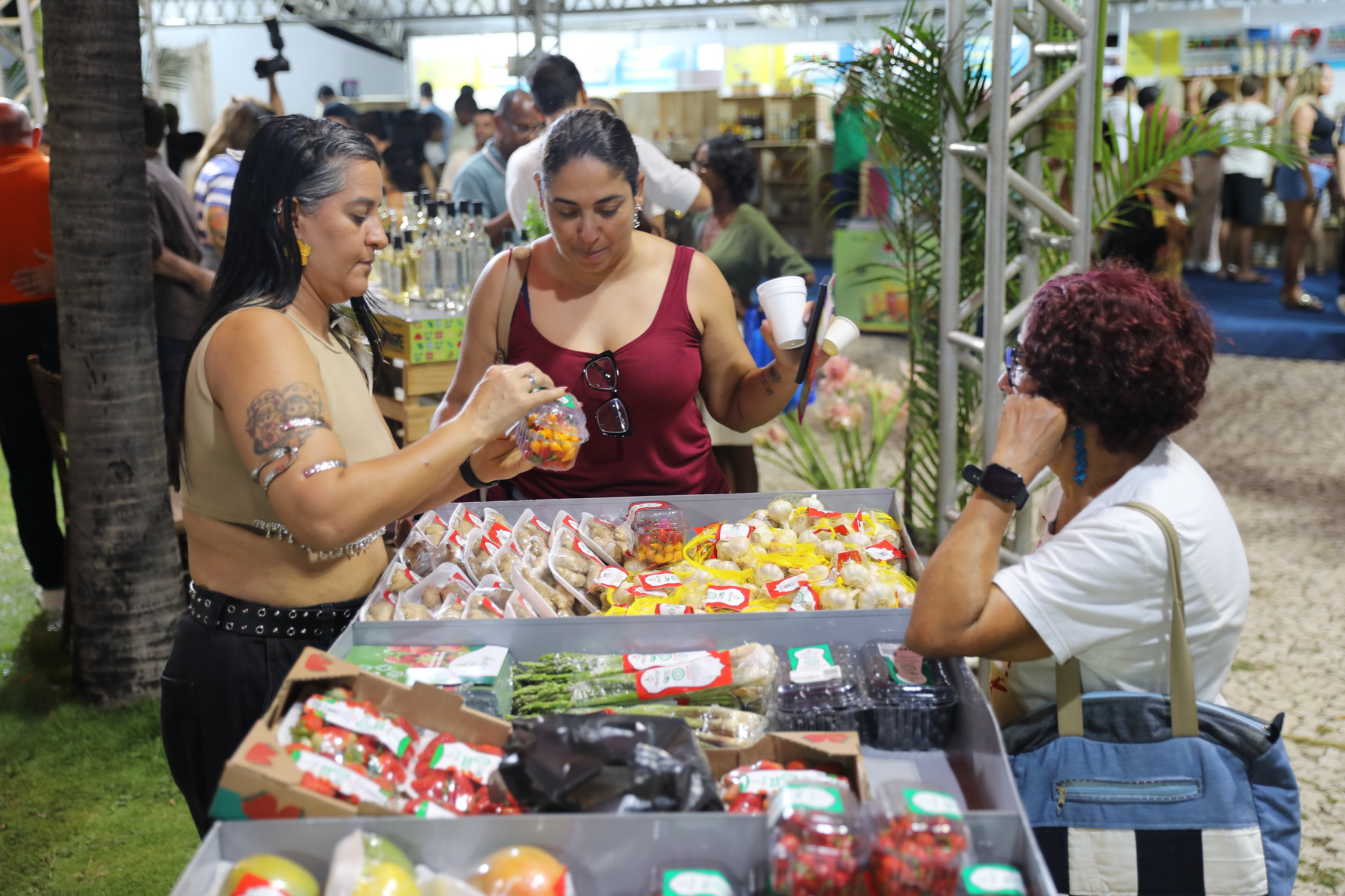 Prorrogadas até 15 de outubro as inscrições para seleção de entidades territoriais