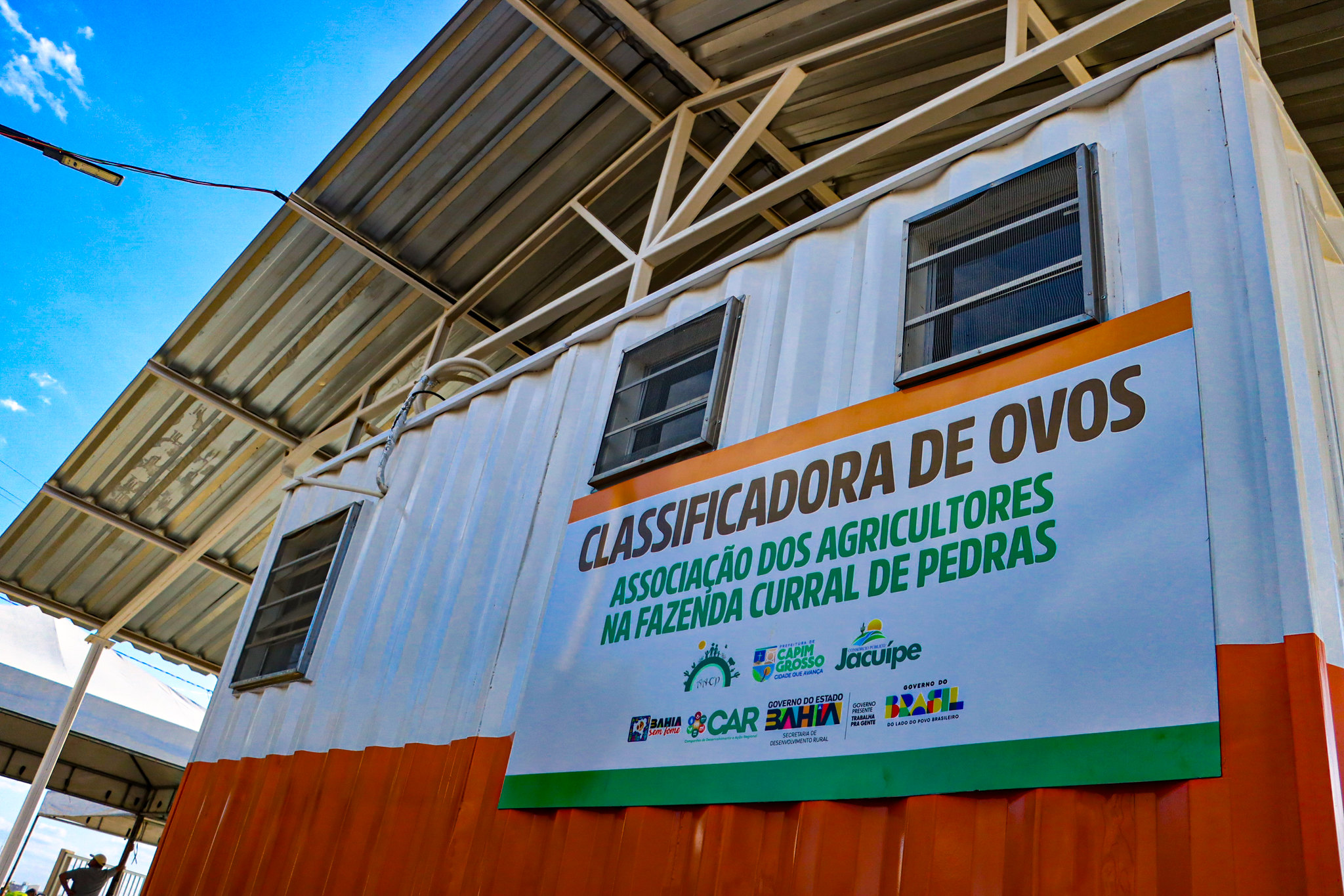 Bahia fortalece produção de ovos na agricultura familiar