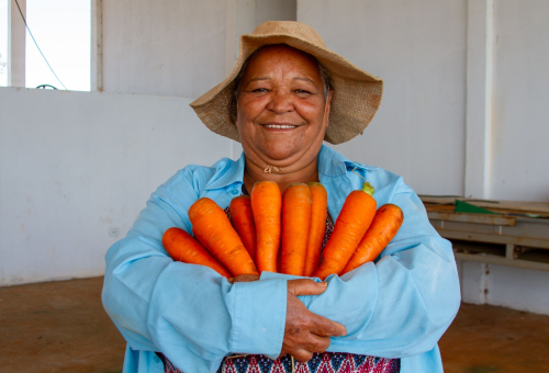 WhatsApp Image 2023-08-30 at 17.33.45_0.jpeg