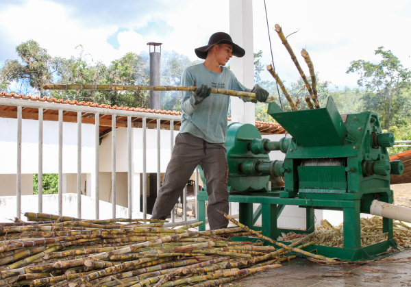 53723523125_34f4ed0b29_o (1).jpg