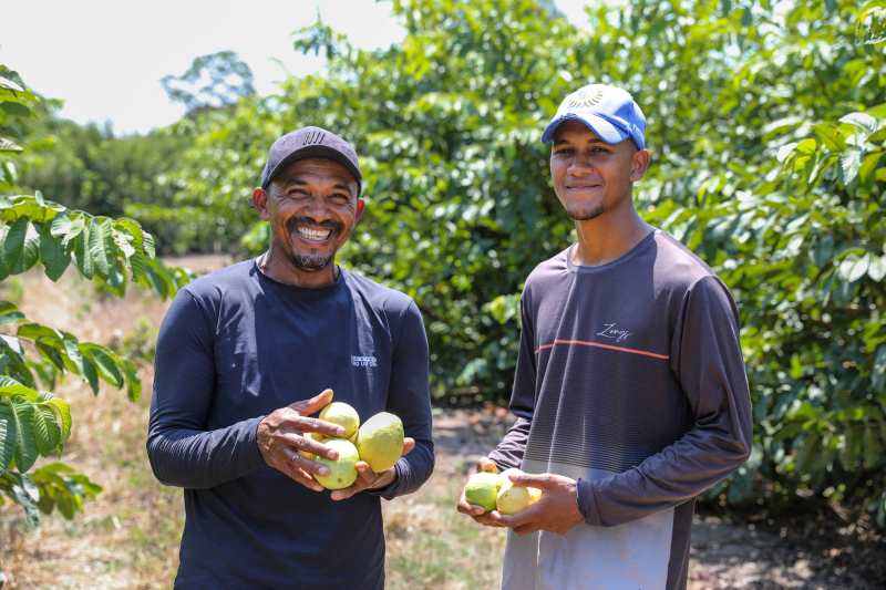 Fruticultura no Litoral Norte da Bahia é impulsionada com agroindústria_FT-Geraldo Carvalho (40)_0.jpg