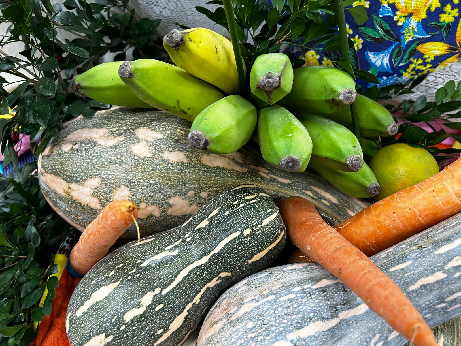 WhatsApp Image 2023-07-28 at 08.45.37.jpeg