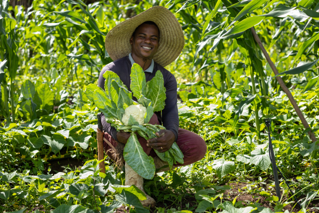 WhatsApp Image 2024-09-27 at 09.52.30.jpeg