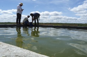 Implantação de unidades de  leite (3)