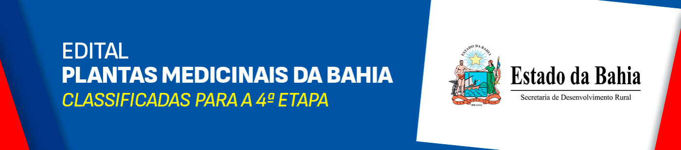 4a etapa