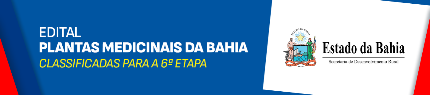 6ª Etapa