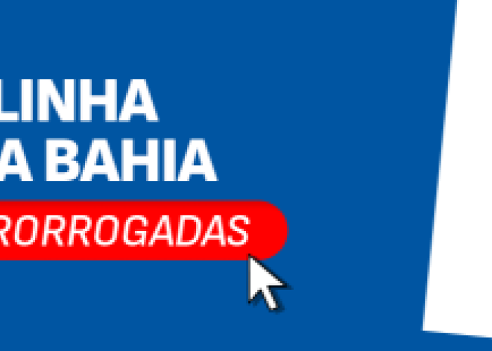 GALINHA CAIPIRA DA BAHIA