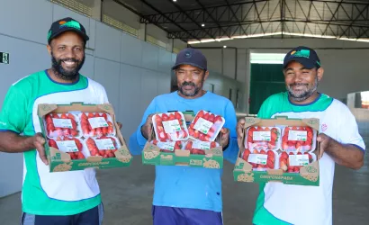 Unidade de beneficiamento de frutas vermelhas