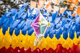 Agricultura Familiar São João da Bahia (6).jpeg