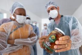 Bahia colhe inclusão, renda e desenvolvimento (2).jpeg