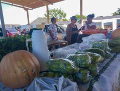 Feira Agroecológica-2.jpg