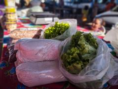 Feira Agroecológica-3.jpg