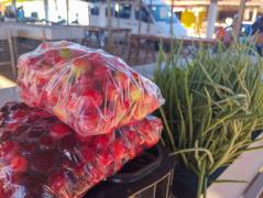 Feira Agroecológica-5.jpg