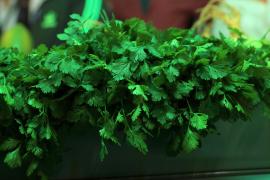 Feira Livre de Souto Soares (3).jpg