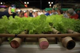 Feira Livre de Souto Soares (5).jpg