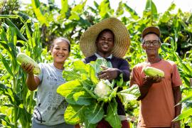 Quintais Produtivos Reinaldo Bastos FT - André Frutuôso (1) (1).jpg