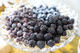 Agroindústria Coopchapada (4).jpeg