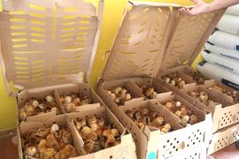 Entrega de kits de avicultura caipira promove inclusão produtiva e geração de renda no Recôncavo (4).jpeg