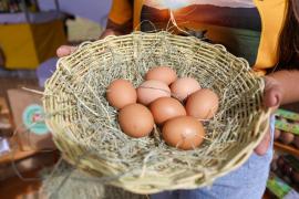 Lançamento Ovos Pintadas (1).jpeg