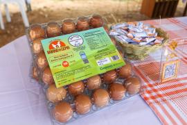 Lançamento Ovos Pintadas (2).jpeg