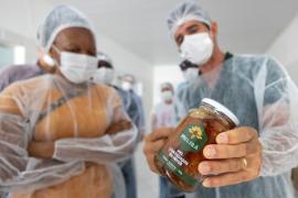 Mel da agricultura familiar (8).jpeg