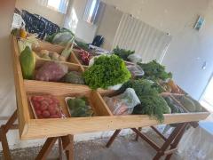 Projeto de quintais produtivos Urandi (4).jpeg