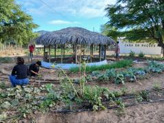 Semiárido Show 2025 (3).jpeg