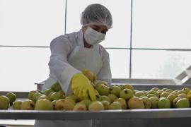 Agroindústria Coopera (1).jpeg