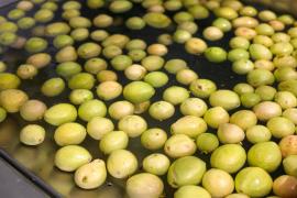 Agroindústria Coopera (3).jpeg