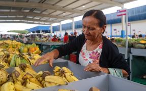 Mercado Municipal de Ribeira do Pombal (15).jpeg