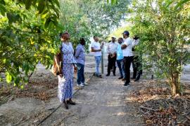 Missão Moçambique setembro 2025 (18).jpeg