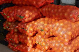 Unidade de Beneficiamento de Frutas fortalece agricultura familiar em Rio Real (13).jpeg