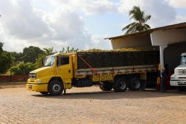 Unidade de Beneficiamento de Frutas fortalece agricultura familiar em Rio Real (2).jpeg