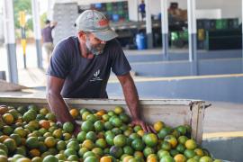 Unidade de Beneficiamento de Frutas fortalece agricultura familiar em Rio Real (6).jpeg