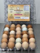 WhatsApp Image 2025-08-28 at 14.58.20 (1).jpeg