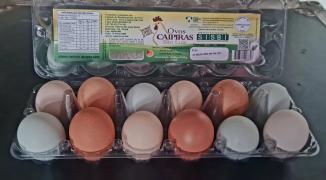 WhatsApp Image 2025-08-28 at 17.32.54 (1).jpeg