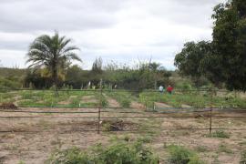 WhatsApp Image 2025-09-08 at 11.25.00 (8).jpeg