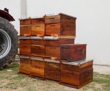 WhatsApp Image 2025-09-09 at 10.53.36 (3).jpeg