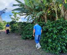 Associação Café Nova Canaã (10).jpg