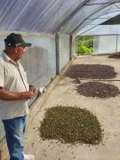 Associação Café Nova Canaã (11).jpeg